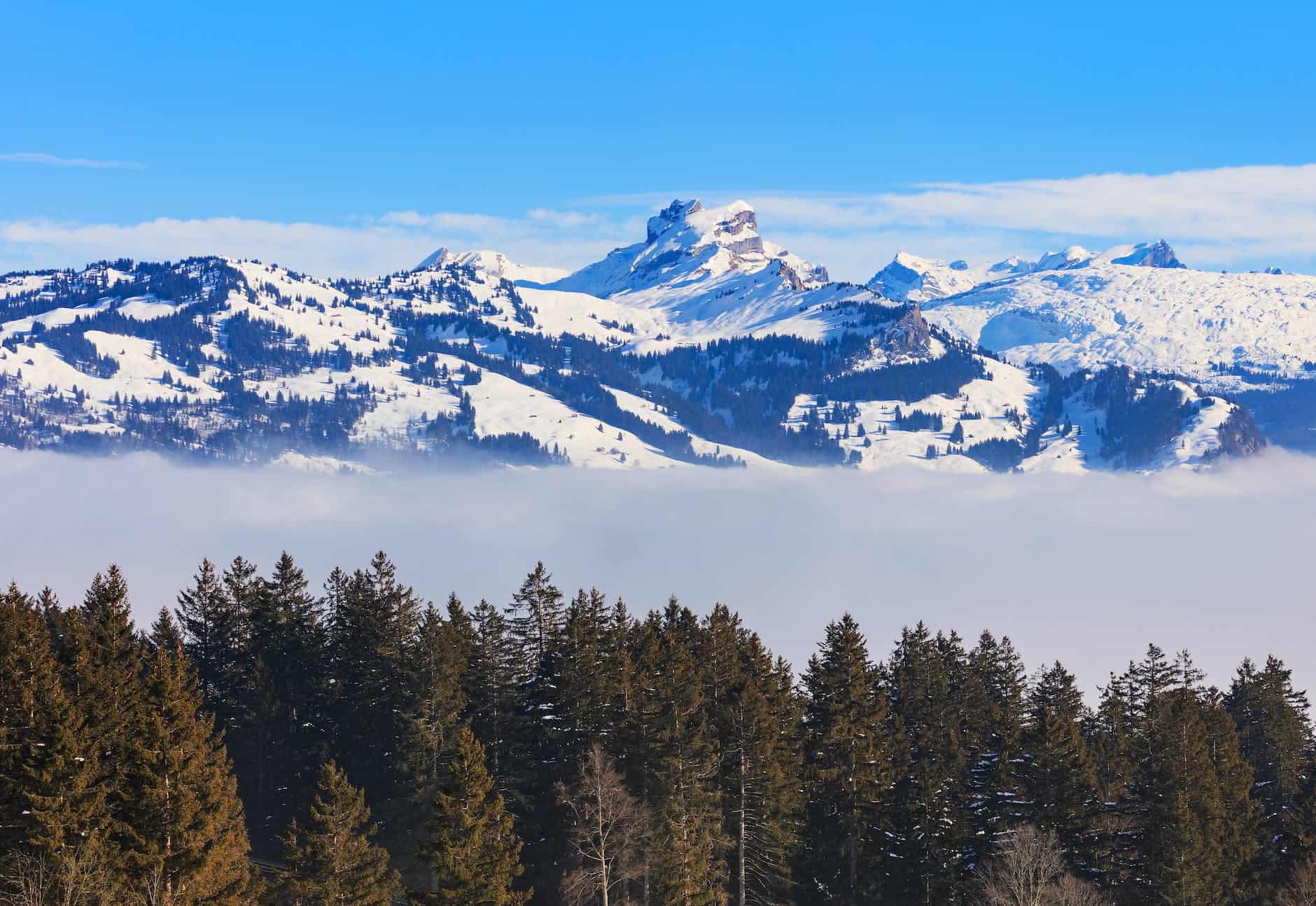 Die Schweiz kann mehr Holz und Biomasse verbrennen, um ihre Nachhaltigkeitsziele zu erreichen